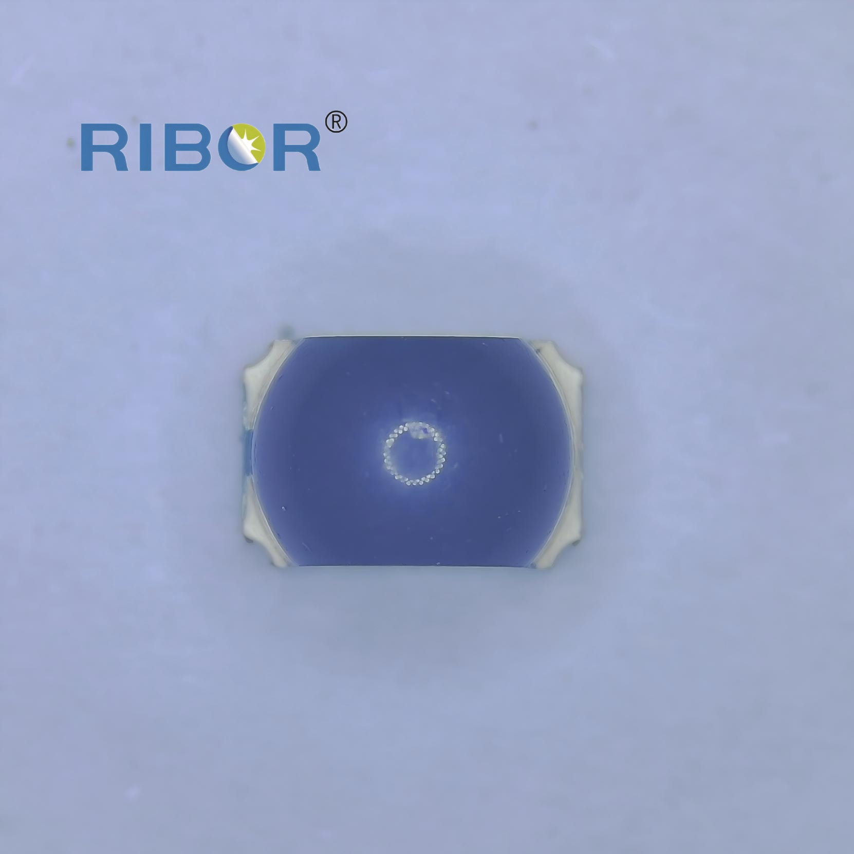 RB11-111- PDB