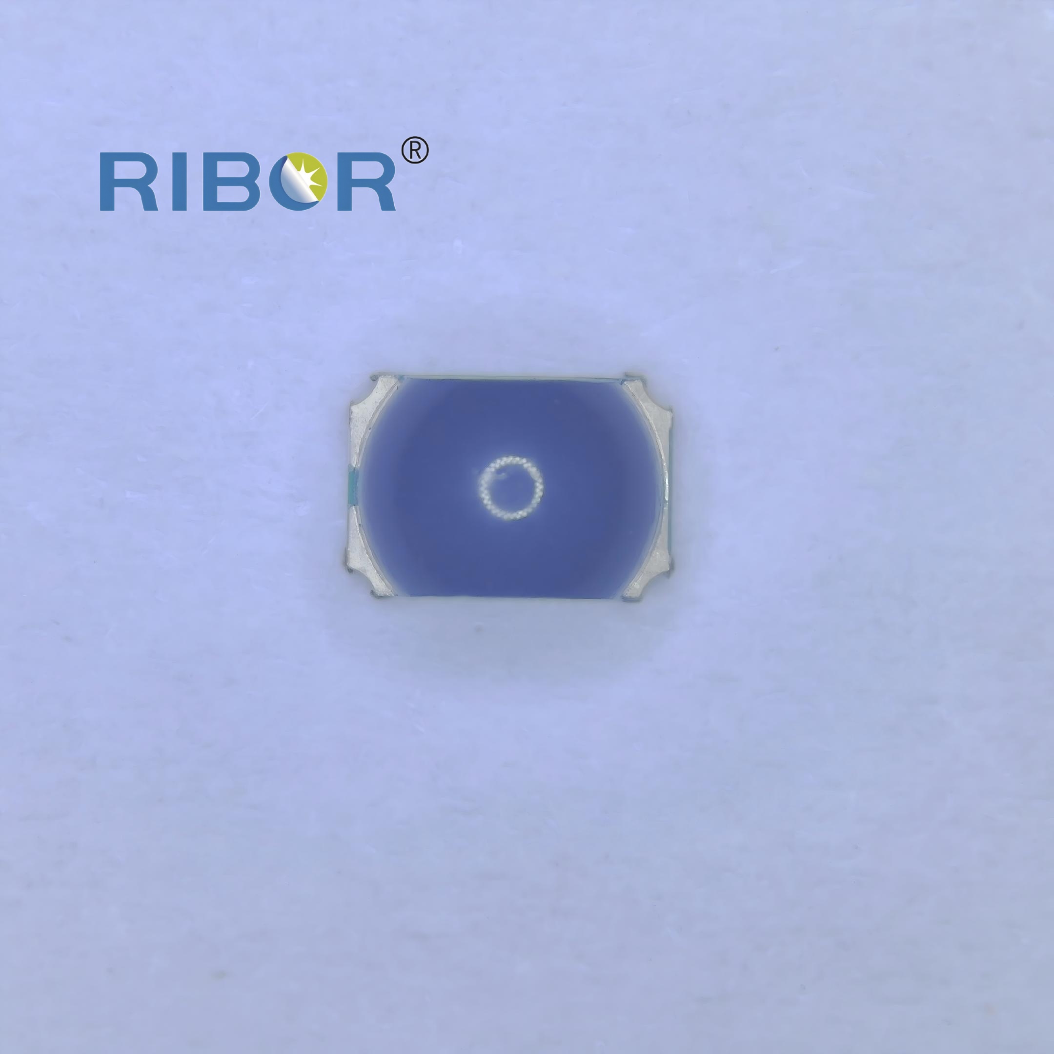 RB11-T111-PDB