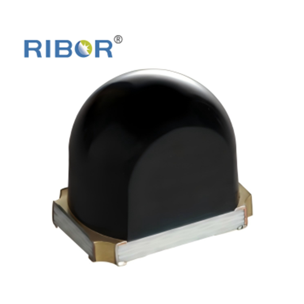 RB11-T111-PDB