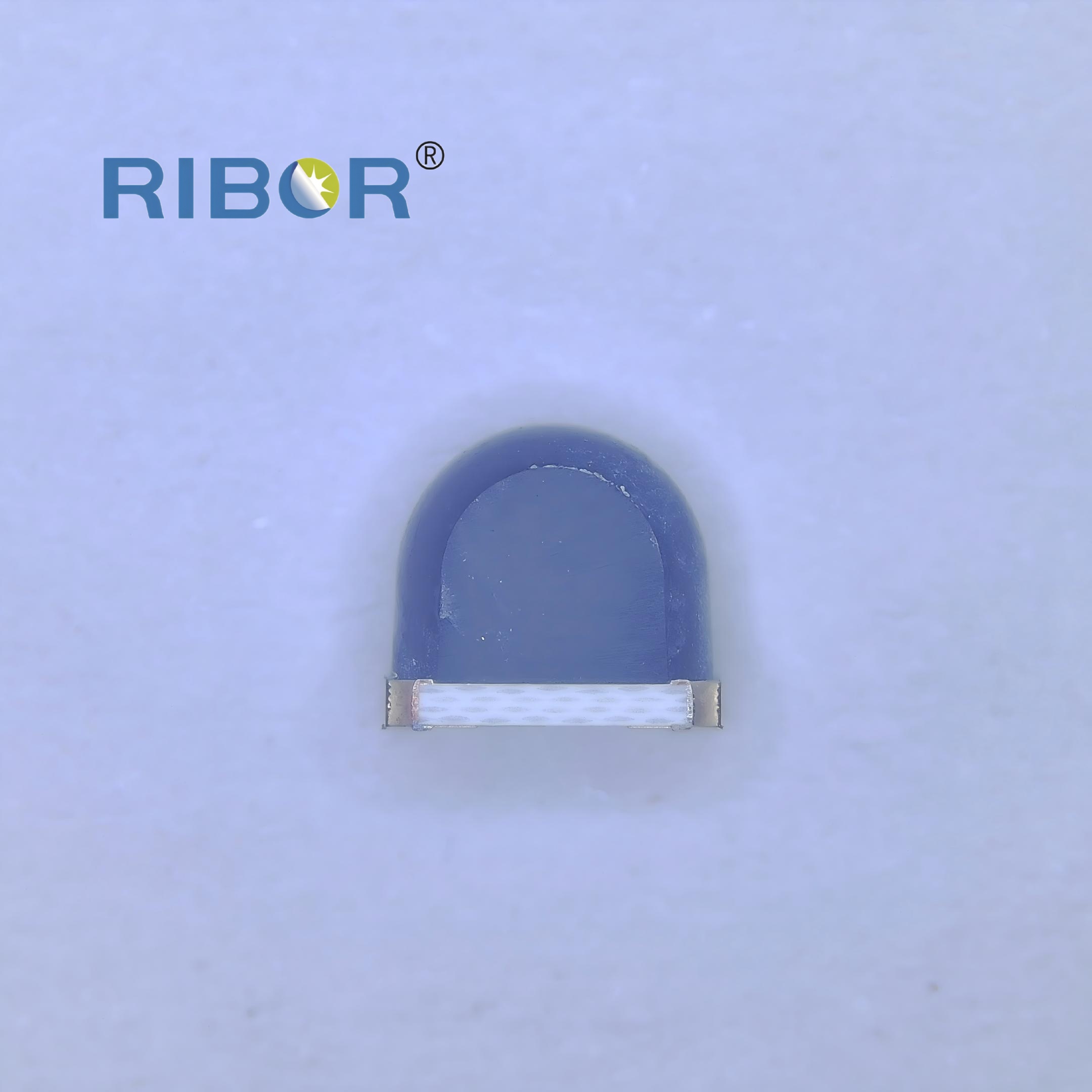 RB11-T111-PDB
