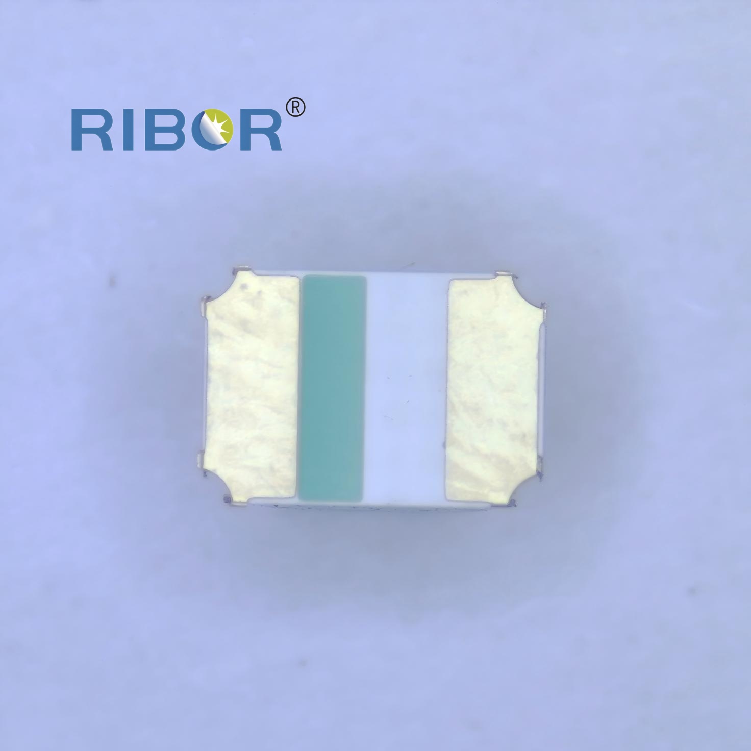 RB11-T111-PDB
