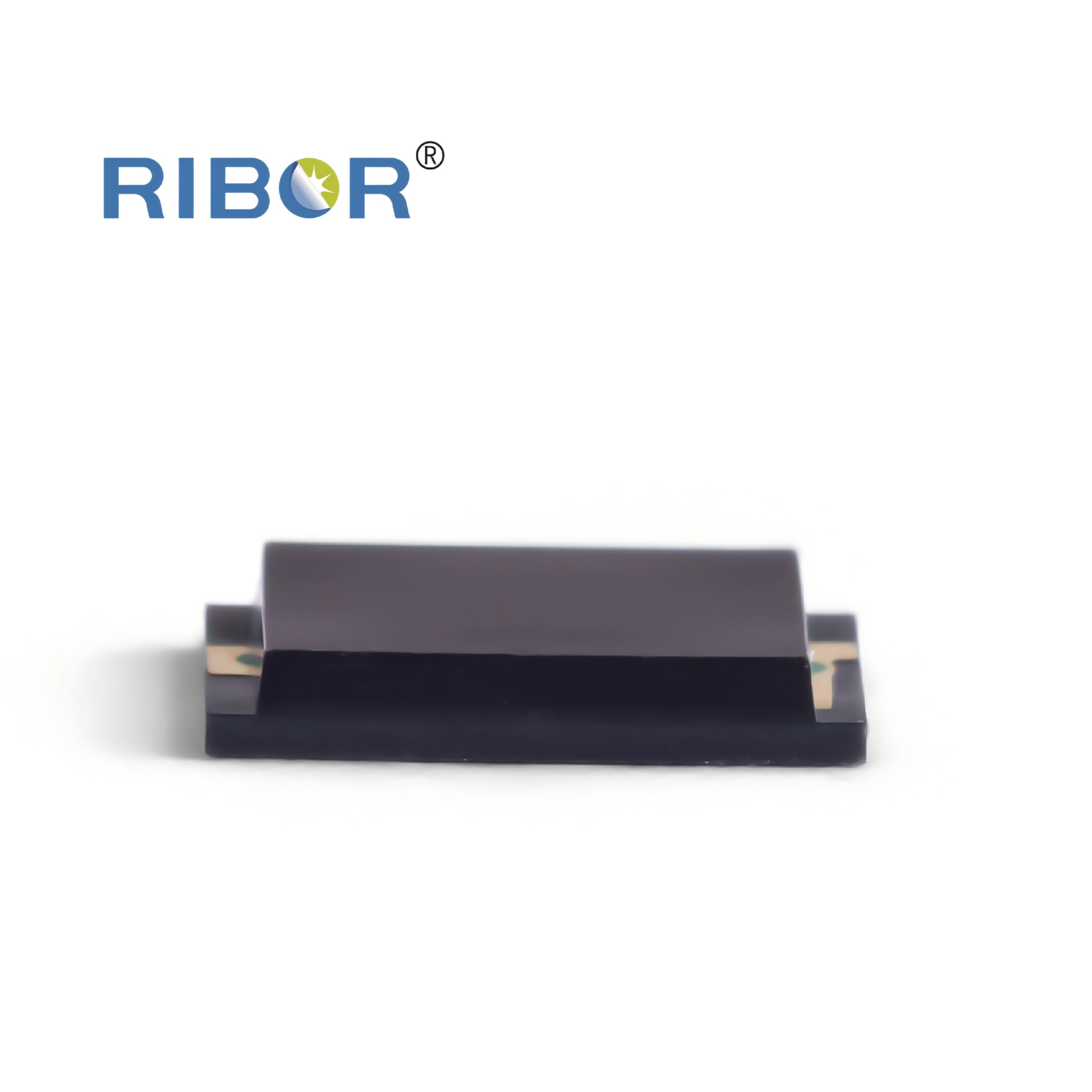 RB11-231-PDB