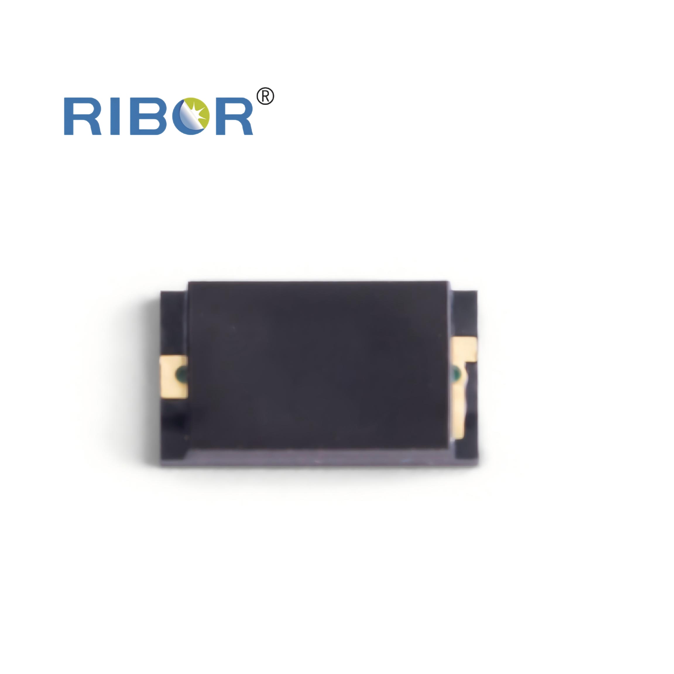 RB11-231-PDB