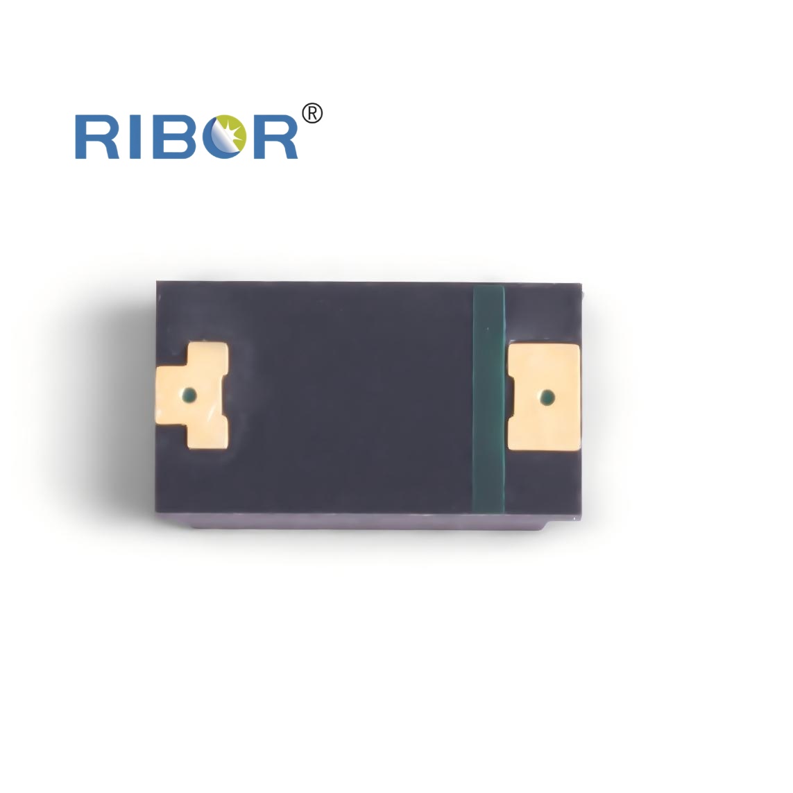 RB11-231-PDB