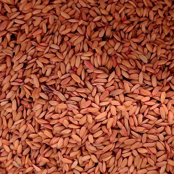 0,005% ядовитая зерновая приманка на основе бродифакума 1 кг (натуральное зерно)