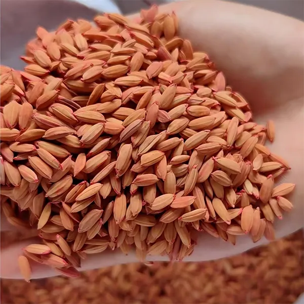 0,005% ядовитая зерновая приманка на основе бродифакума 1 кг (натуральное зерно)