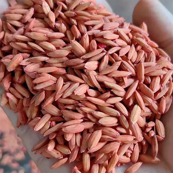 0,005% ядовитая зерновая приманка на основе бродифакума 100 г (натуральное зерно)