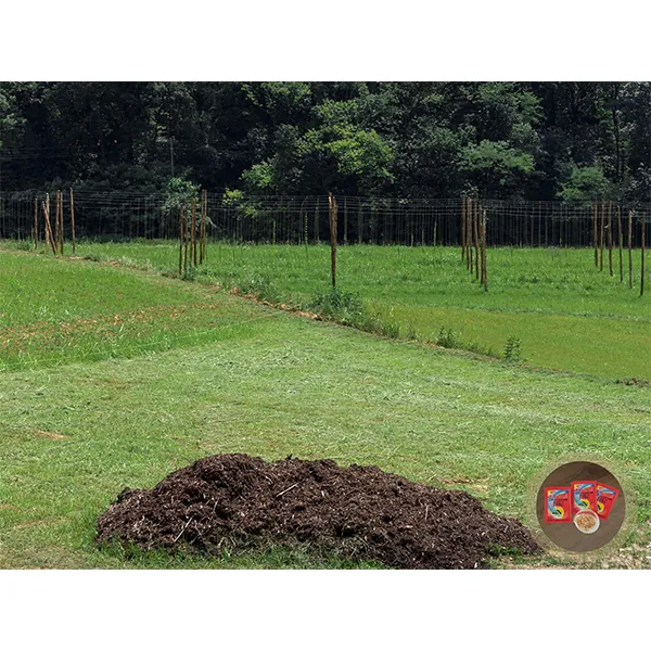 1% приманка от муравьев на основе гидраметилнона 5 г