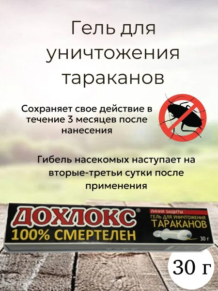 Серия для уничтожения тараканов: 5 шагов к полной победе