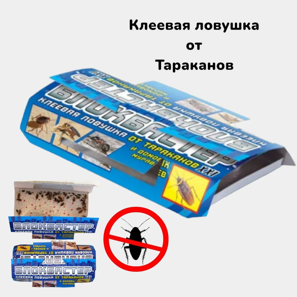 Серия для уничтожения тараканов: 5 шагов к полной победе