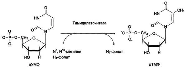 12.8% эмульгируемый концентрат ДДВФ, хлорпирифоса и фентиона: полный обзор 2026