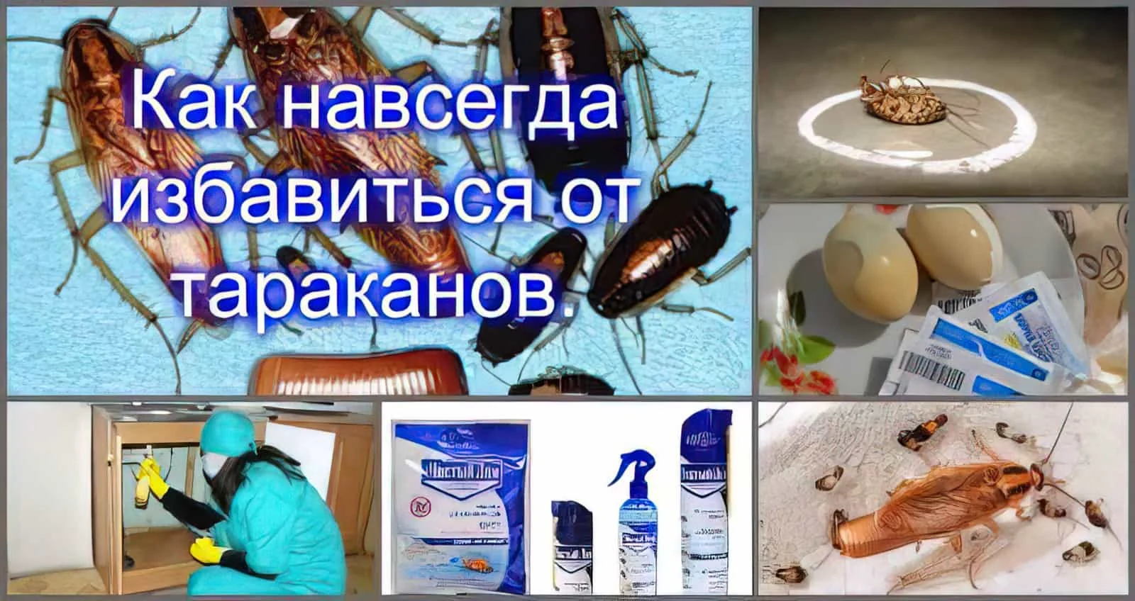 5 лучших средств от тараканов для квартиры с кошкой: полный гид 2026