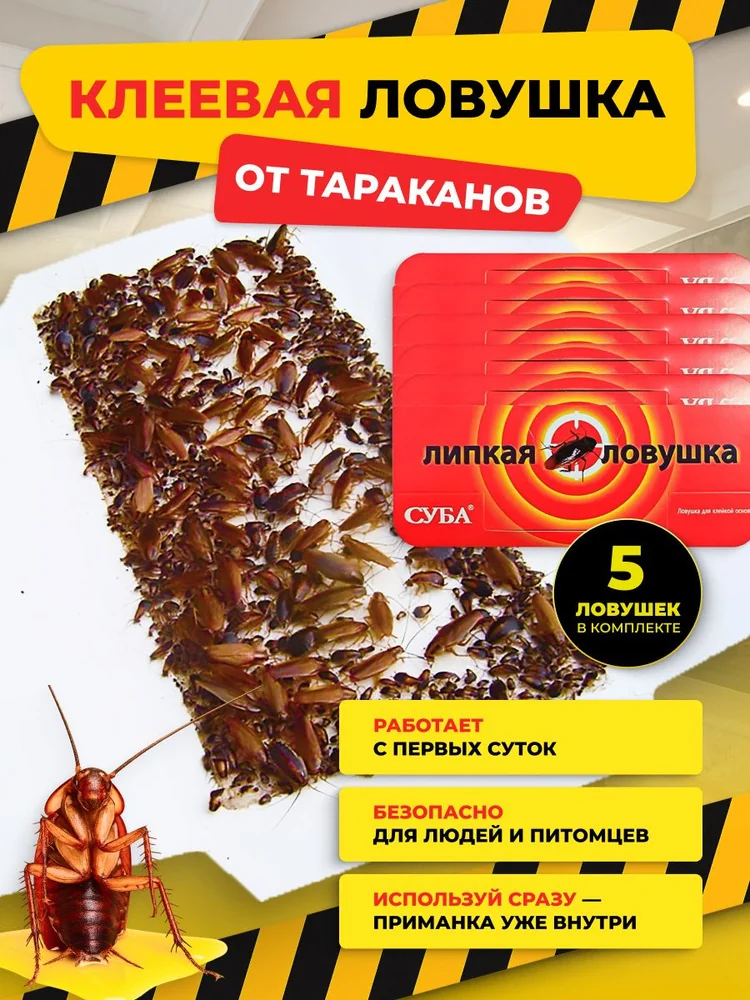 Средство от тараканов в таблетках очень опасно: 5 фактов