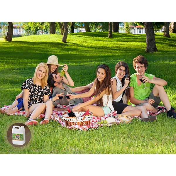 2,5% термоаэрозоль от тараканов 5 л