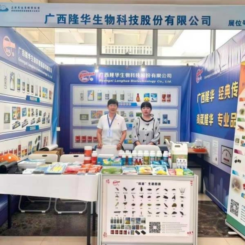 Компания Guangxi Longhua Biotechnology Co., Ltd. успешно выступила на встрече по обмену опытом Альянса здоровых городов региона Пекин — Тяньцзинь — Хэбэй (2026 г.)