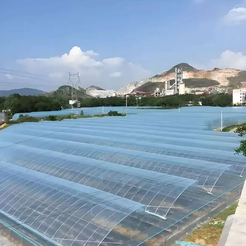 PO тепличная плёнка