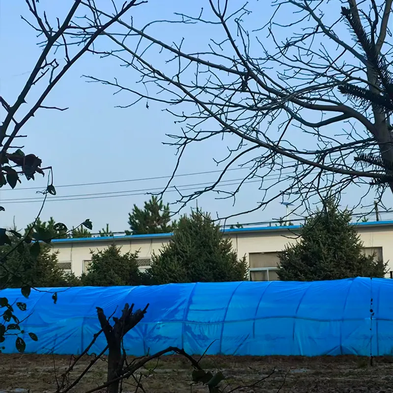 PO тепличная плёнка