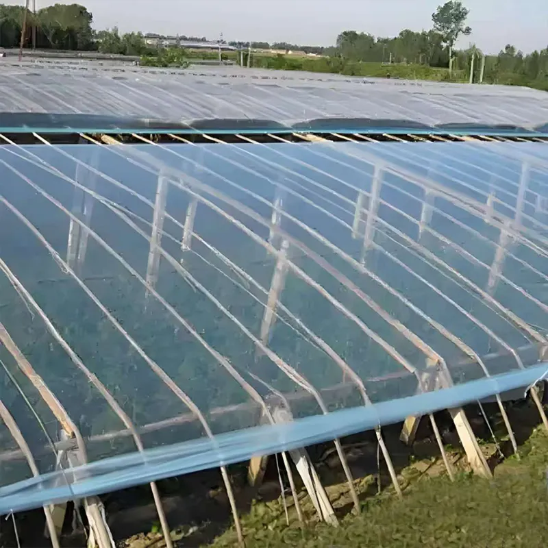 Антиконденсатная тепличная плёнка