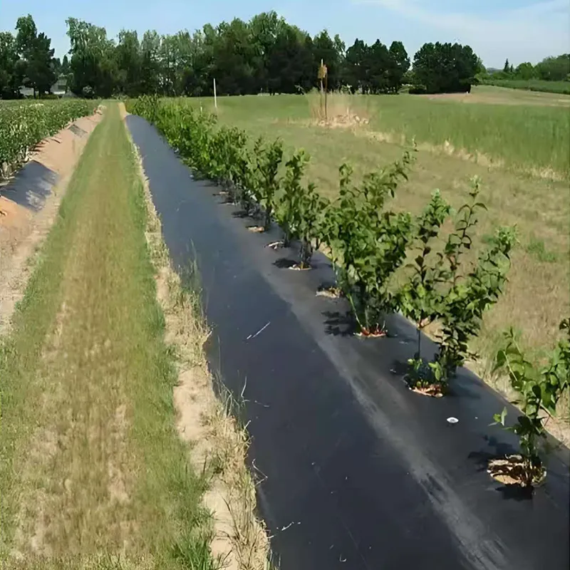 Многофункциональная ткань для борьбы с сорняками