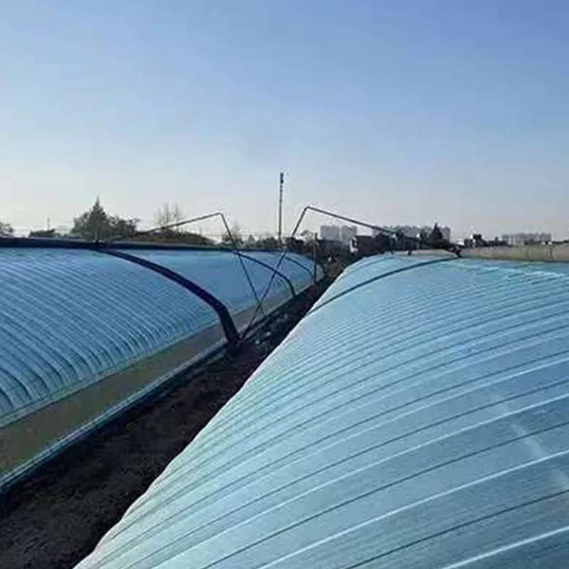 Обычная белая тепличная плёнка