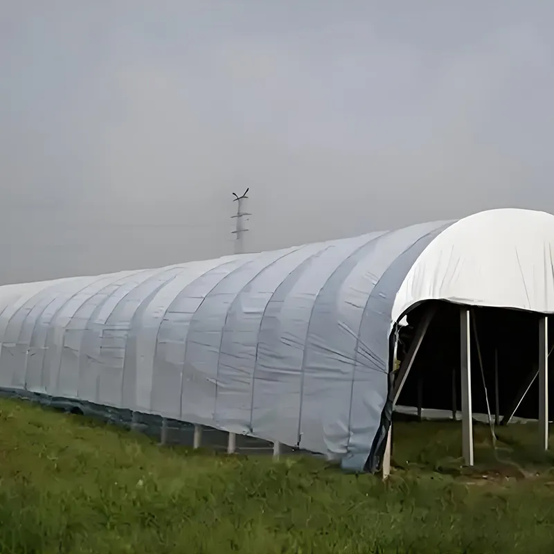 Отечественная чёрно-белая тепличная плёнка