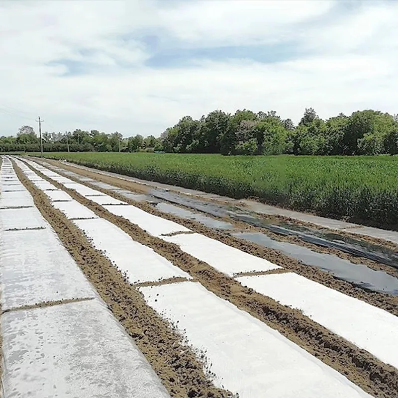 Утолщённая высокопрочная мульчирующая плёнка – белая