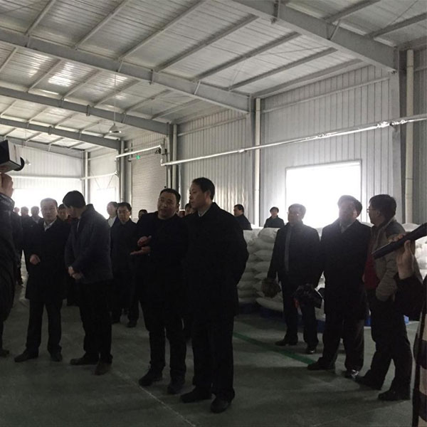 Секретарь городского комитета партии Цюйфу и делегация посетили компанию Цюйфу Фармацевтических Вспомогательных Веществ для инспекции и получения рекомендаций.