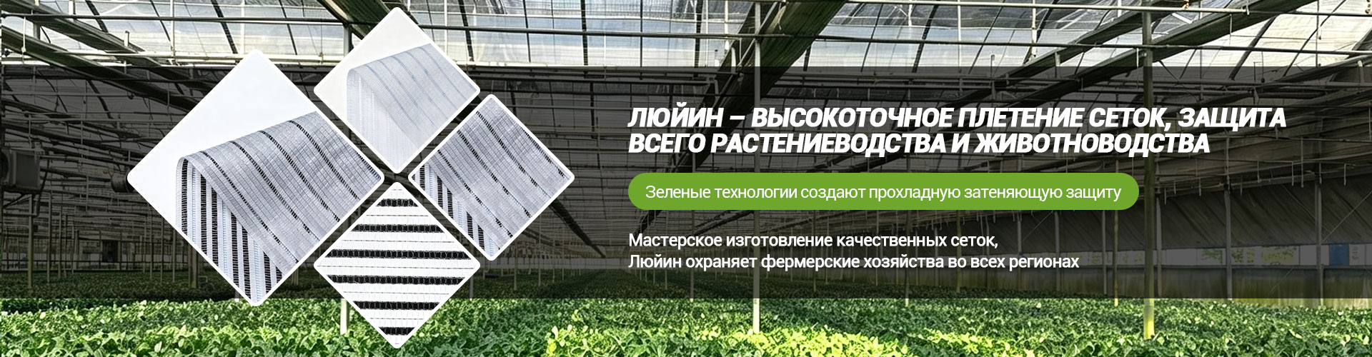 О Нас