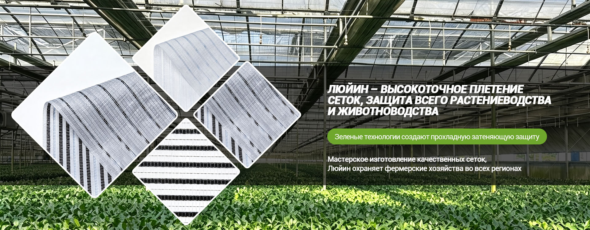 ООО «Сычуань Люйинь Чжигуан Сельскохозяйственные технологии» banner2