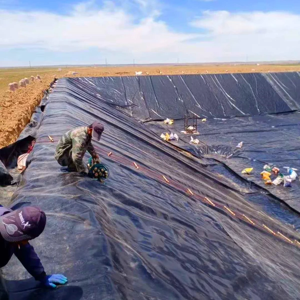 HDPE геомембрана для гидроизоляции пруда: «Шаньдун Лунсинь» расширяет поставки геомембраны