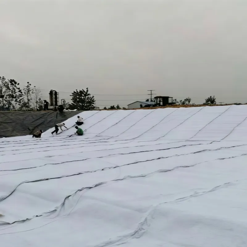 Композитная дренажная сетка для дренажа за подпорными стенами, оснований автомобильных дорог, садовых дорожек; трёхмерная композитная дренажная сетка