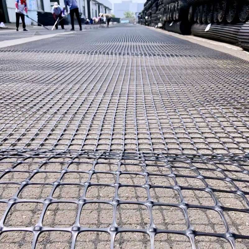 Цветная пластиковая геосетка из полипропилена для ограждения рыбоводных прудов