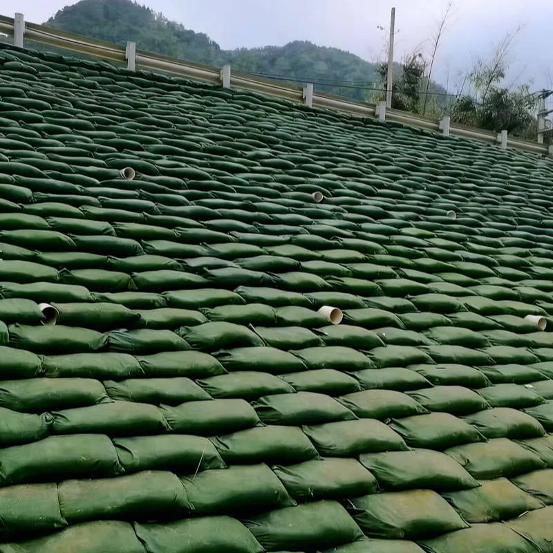 Экологический мешок