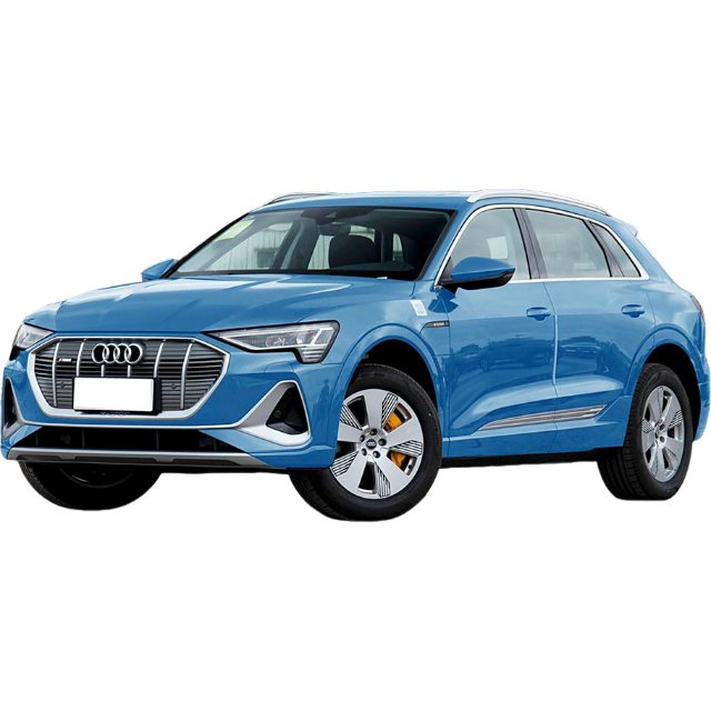 Audi e-tron 50 quattro Luxury Edition 2021 года выпуска