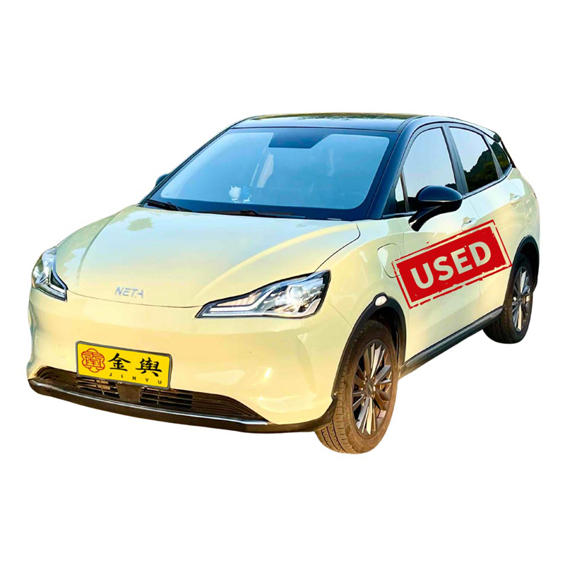 Поддержанный Neta AYA 2023, 318 LIT