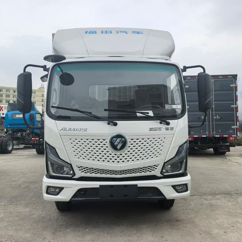 Foton Aumark, широкий одноместный, Final Edition