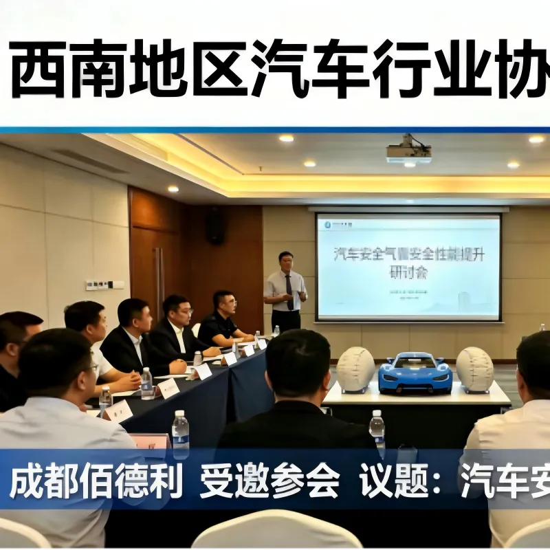 Совместное обсуждение модернизации систем безопасности! ООО Чэнду Байдэли Автомобильные Системы Безопасности приглашена на семинар по автомобильным подушкам безопасности в Юго-Западном регионе
