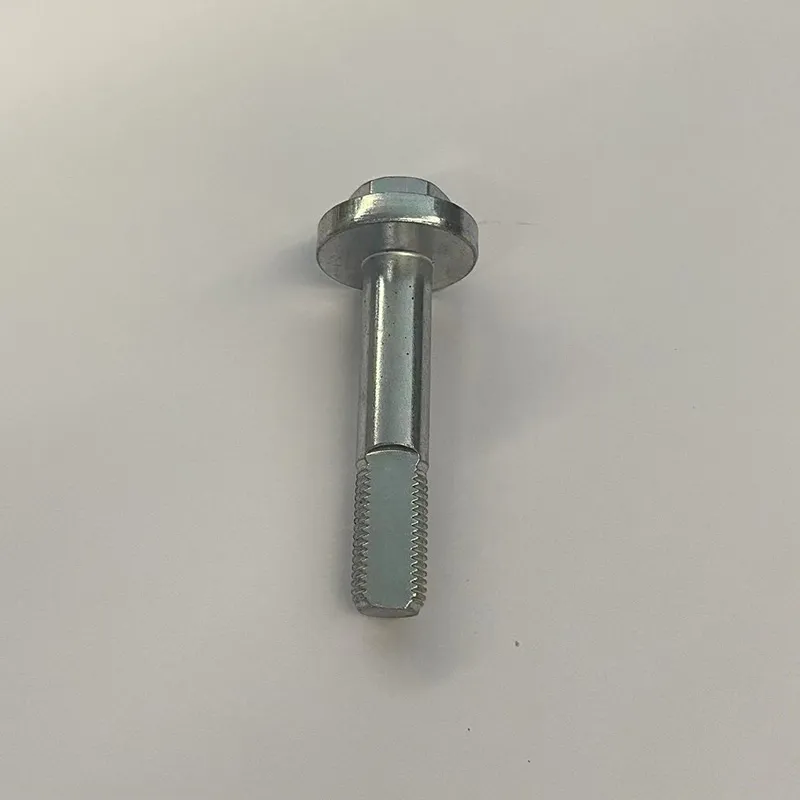 Эксцентричный болт 8450026872