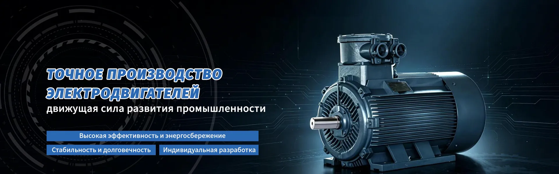 Трёхфазный асинхронный многоскоростной электродвигатель с переключением числа полюсов Y2D-160M-8
