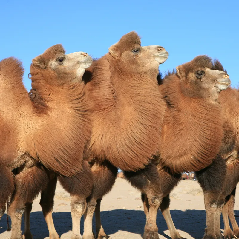 Уникальный дизайн