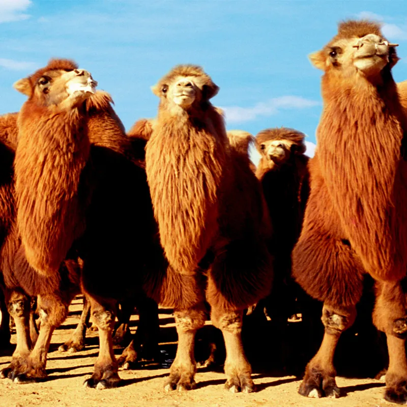 Превосходное качество