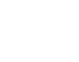 Одеяло из верблюжьего пуха