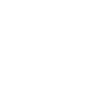 Палантин и шарф из верблюжьего пуха