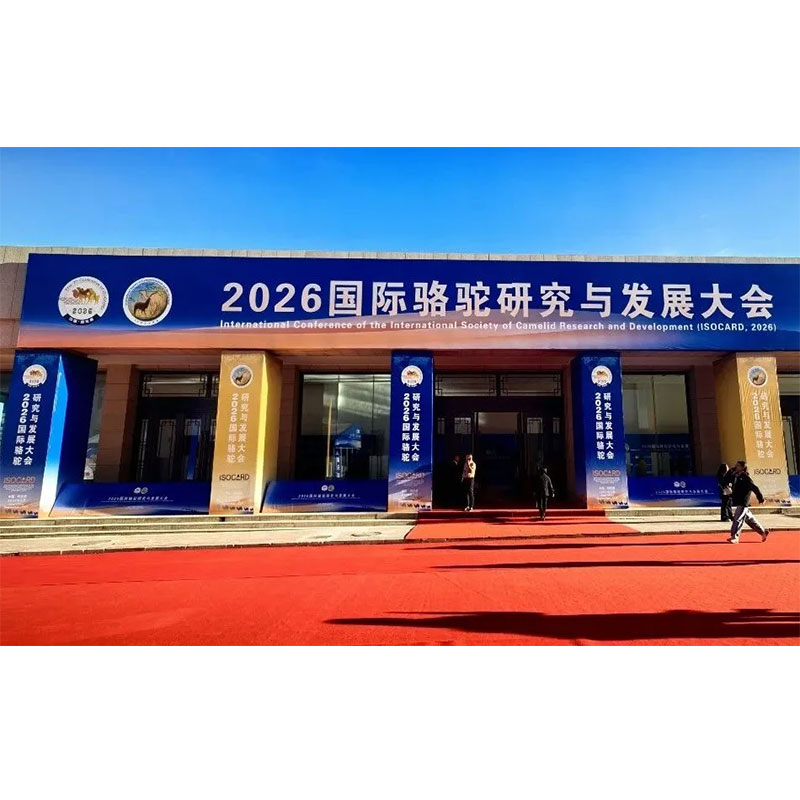 Компания Camel King Wool Industry поздравляет с успешным завершением 11-й конференции по развитию верблюжьей промышленности и 7-й Международной конференции по исследованиям и разработкам в области верблюжьего хозяйства.