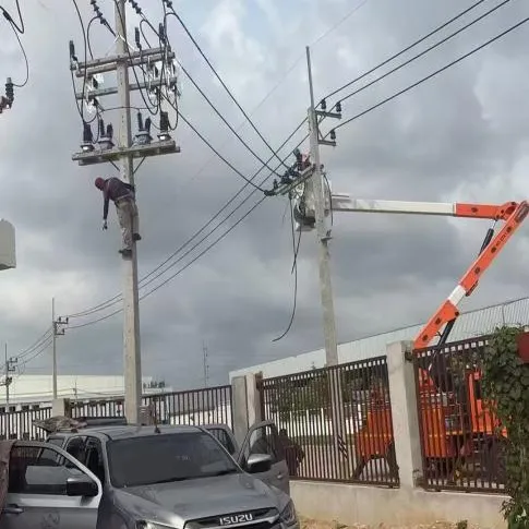 Chuangrui Technology успешно завершила работы по передаче электроэнергии в рамках второго этапа проекта по производству цепей Changhong в Таиланде.