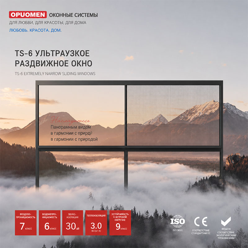 TS6 Раздвижное окно