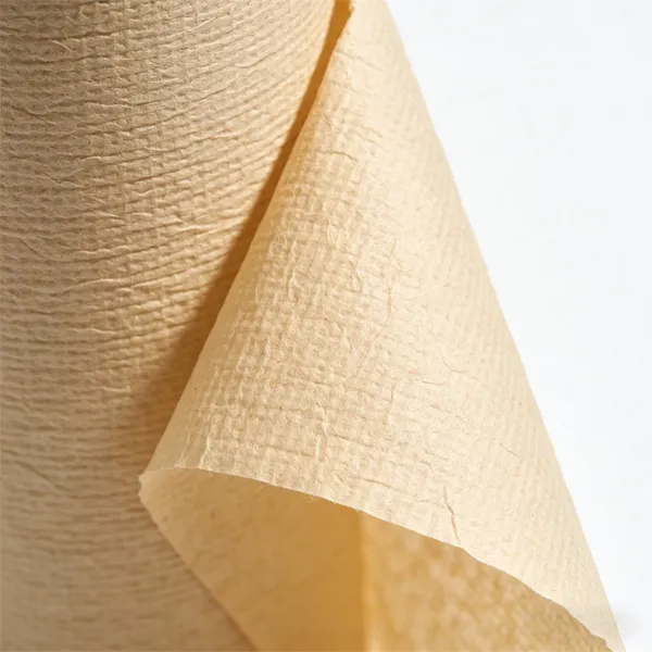 В моей стране достигнут значительный прогресс в отечественном производстве высококачественной электротехнической крепированной бумаги