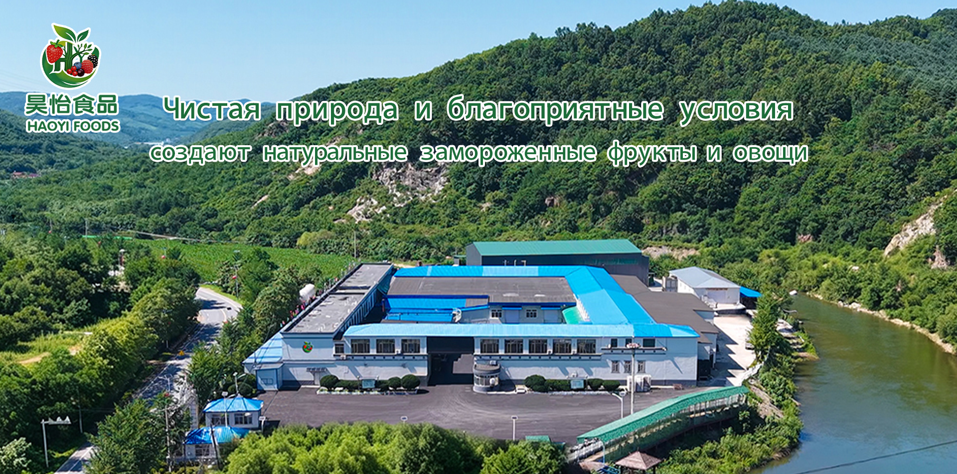 Наша компания