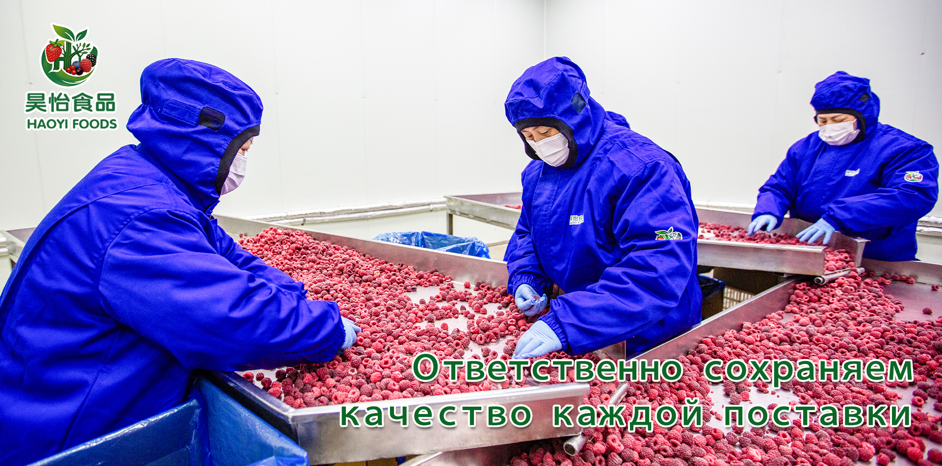 Свяжитесь с нами
