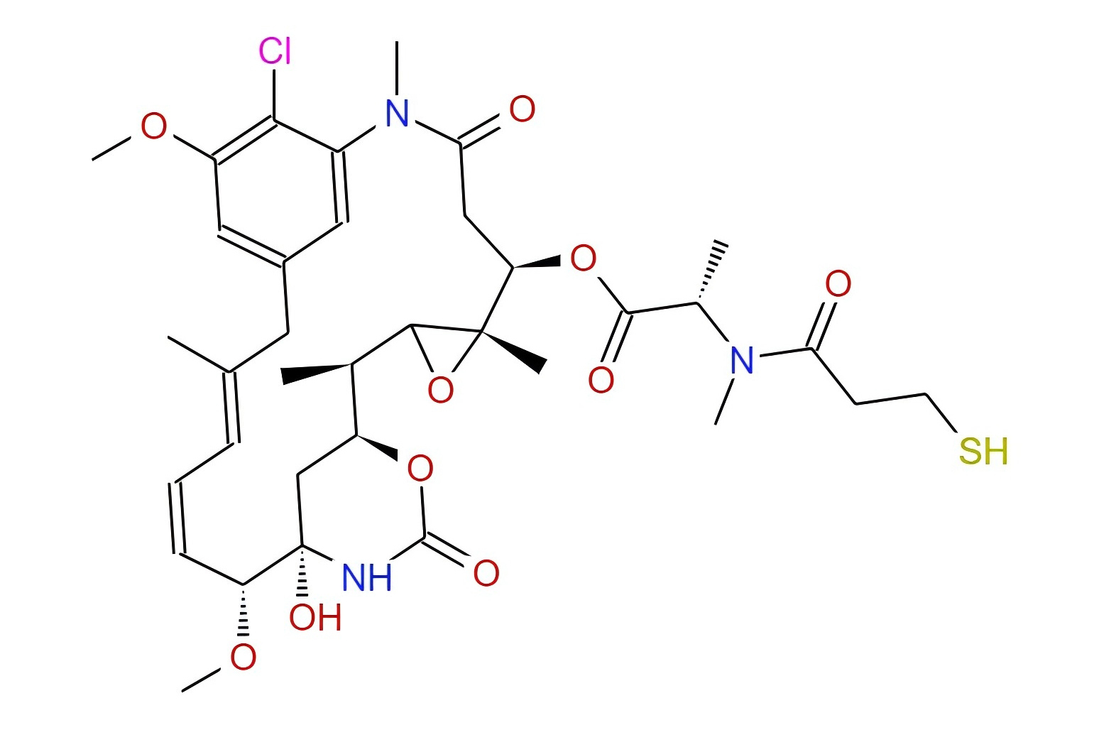 DM1 625 (2)